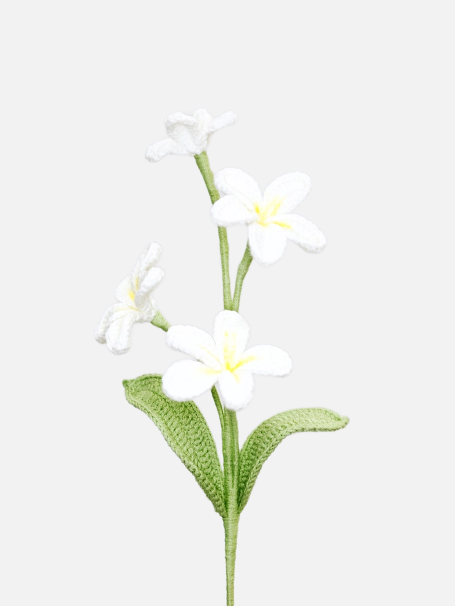 Handmade Crochet Flower - Frangipani