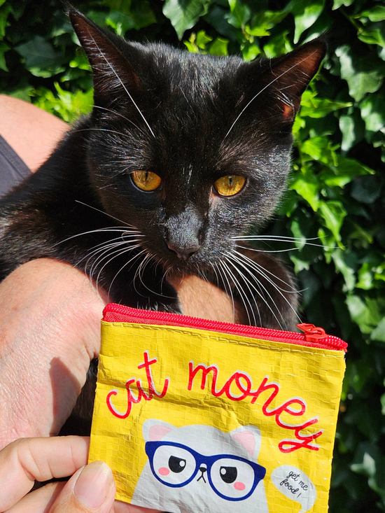Cat Money Coin Purse - Tasche
