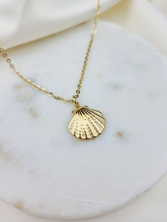 shell necklace