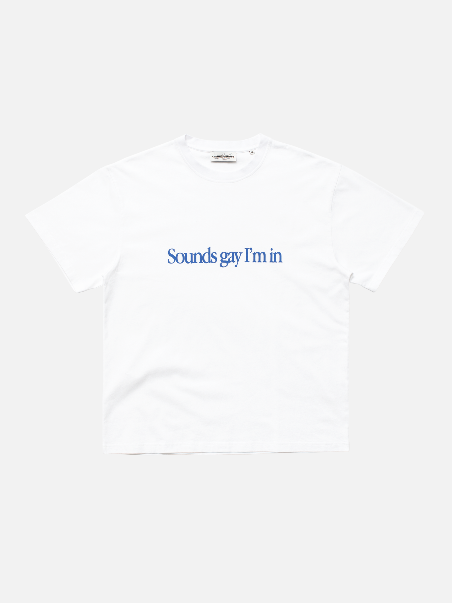 CARNE BOLLENTE Simply Sounds Gay T-Shirt