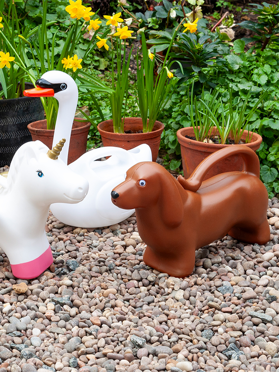Watering Can (2 ltr) - Sausage Dog - Diverses