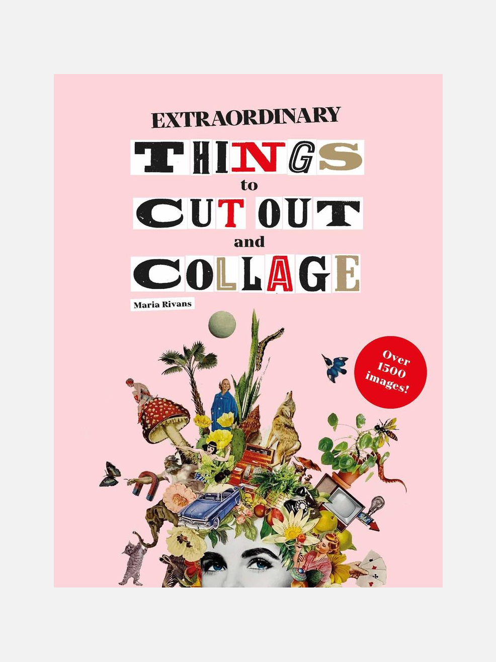 Collage Book - Extraordinary Things To Cut Out