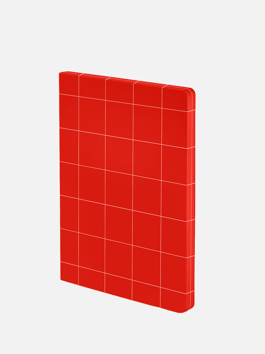 Red Grid Notizbuch