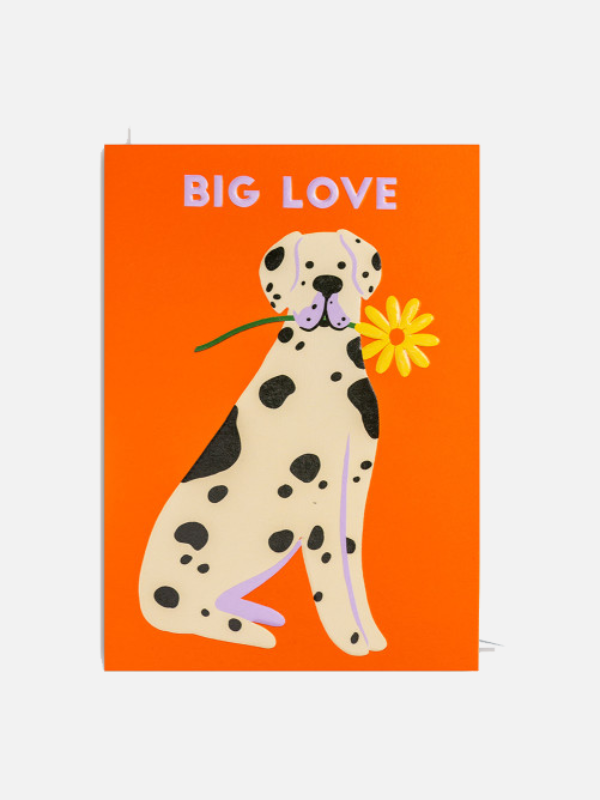 Big Love card