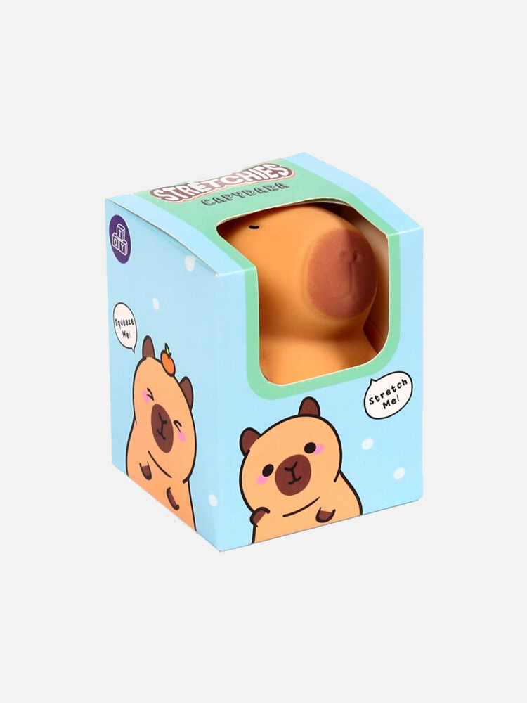 Capybara Stretchy Toy