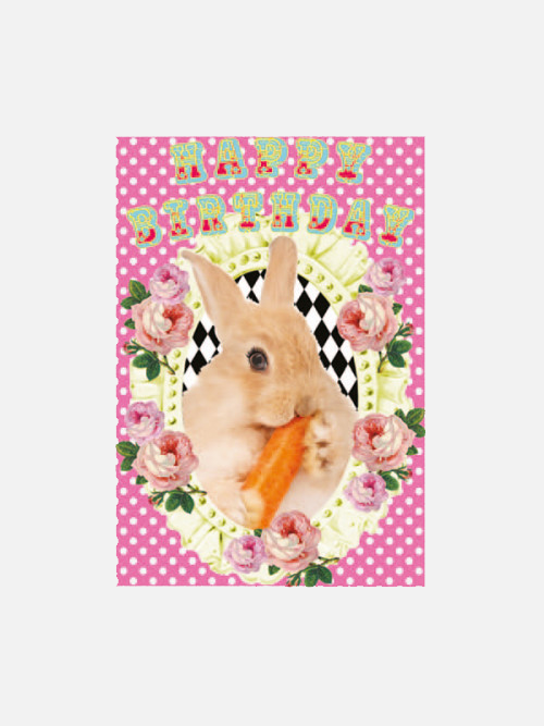 Happy Birthday Bunny Karte