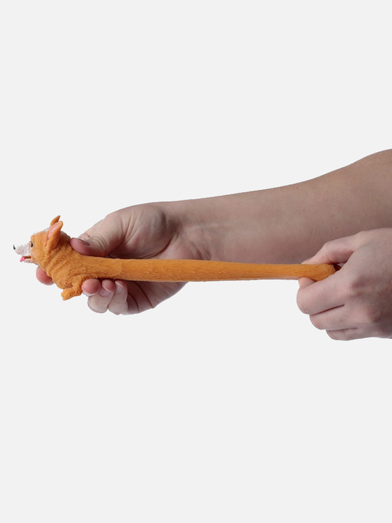 Corgi Stretchy Toy - Diverses
