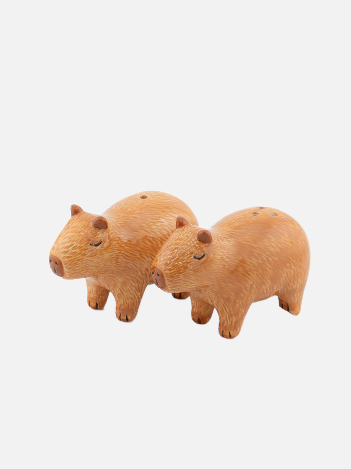 Capybara Salt & Pepper Shakers