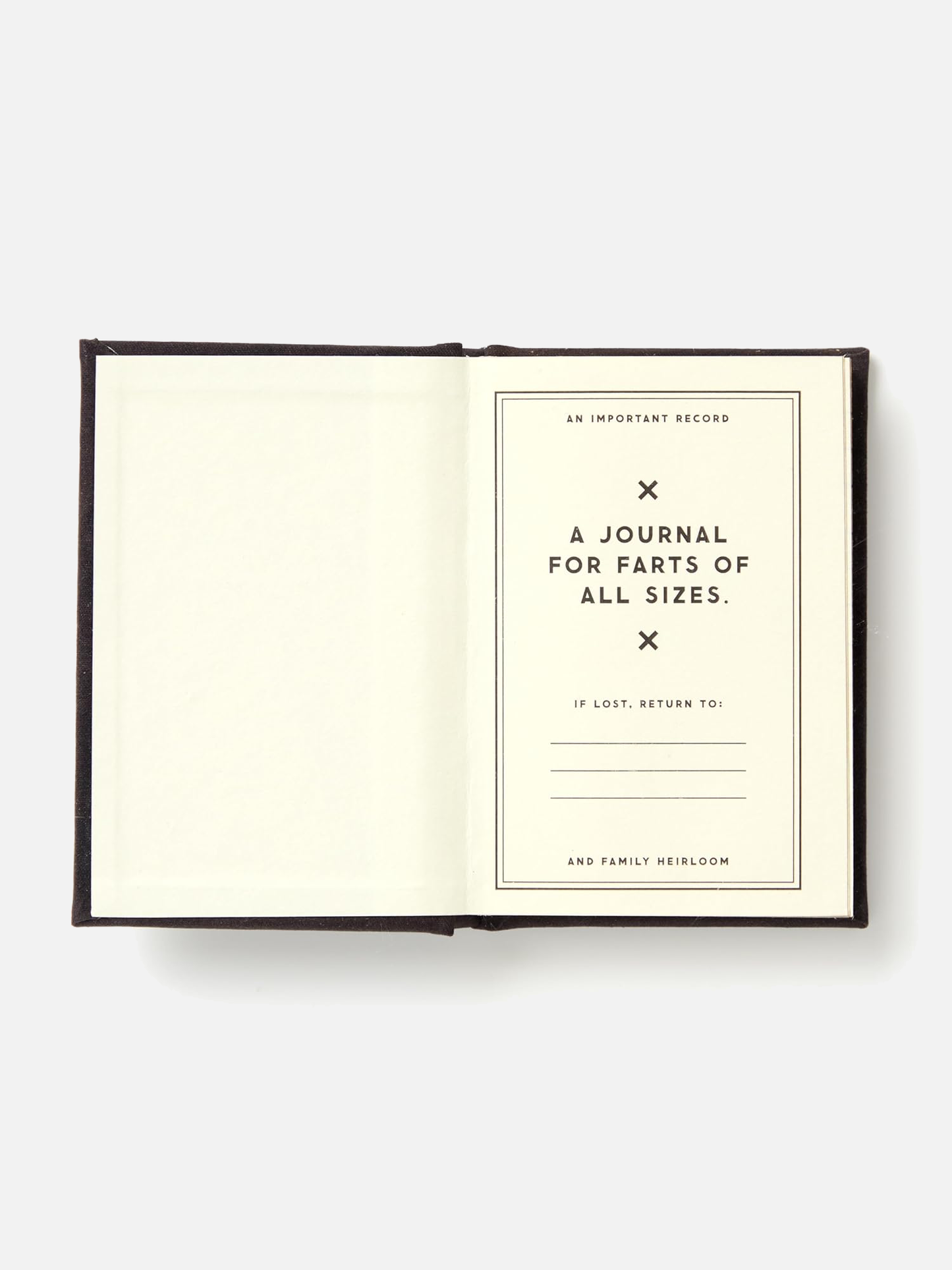A Tiny Fart Diary