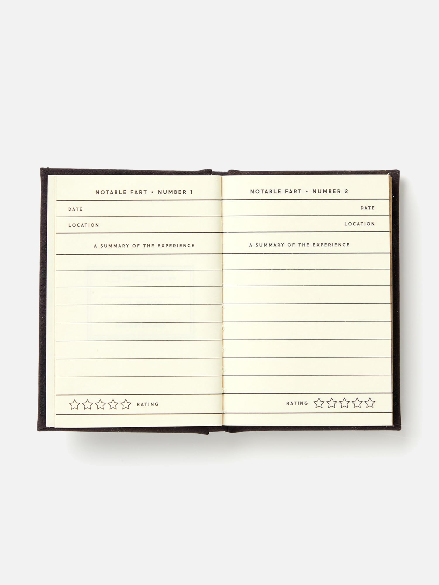 A Tiny Fart Diary
