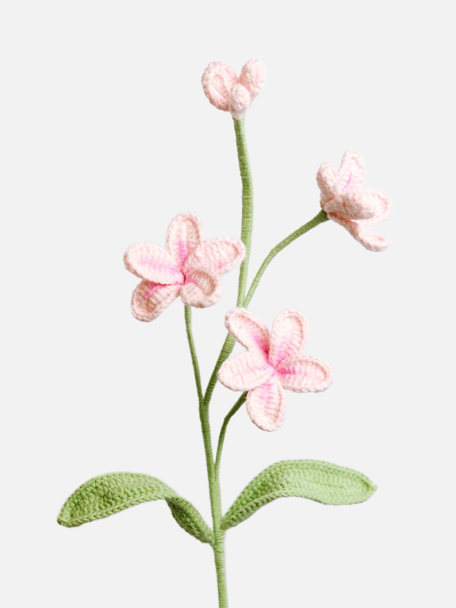 Handmade Crochet Flower - Frangipani