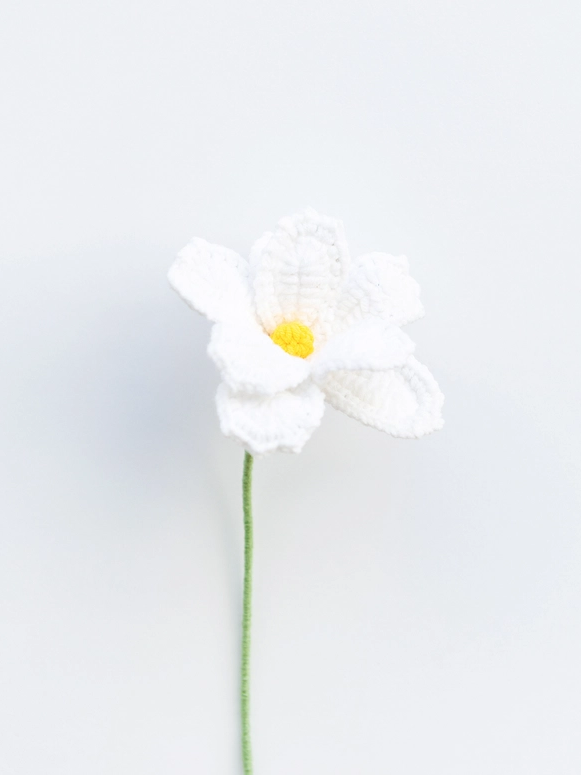 Handmade Crochet Flower - Cosmos - White - Diverses