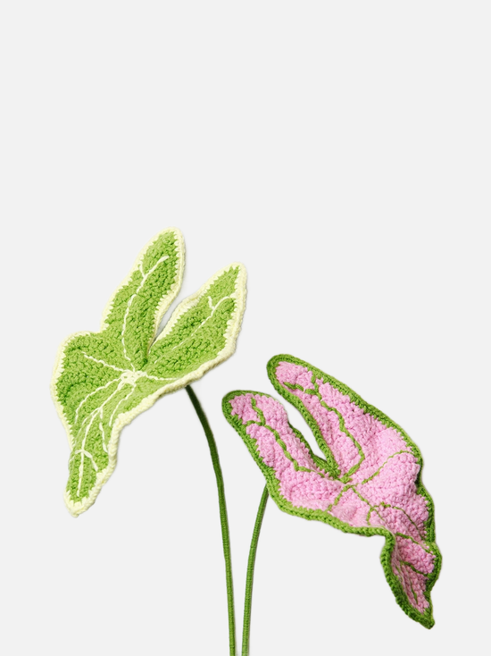 Handmade Crochet Flower - Elephant Ear - Diverses