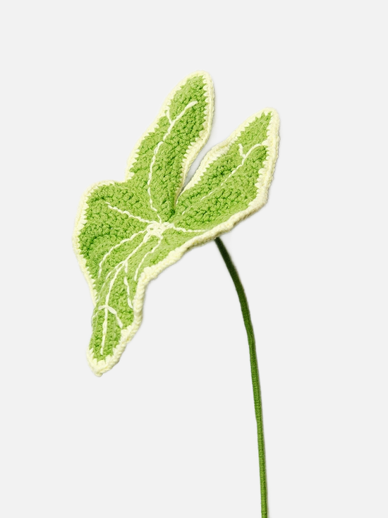 Handmade Crochet Flower - Elephant Ear - Green - Diverses