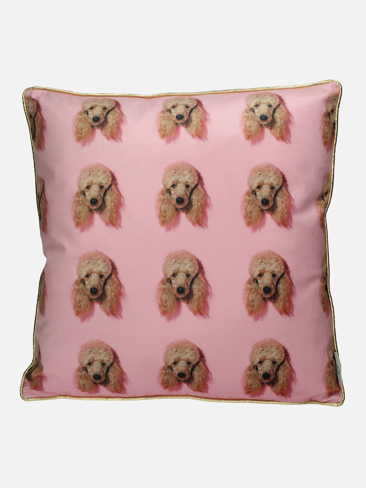 Fancy Dog Pillow