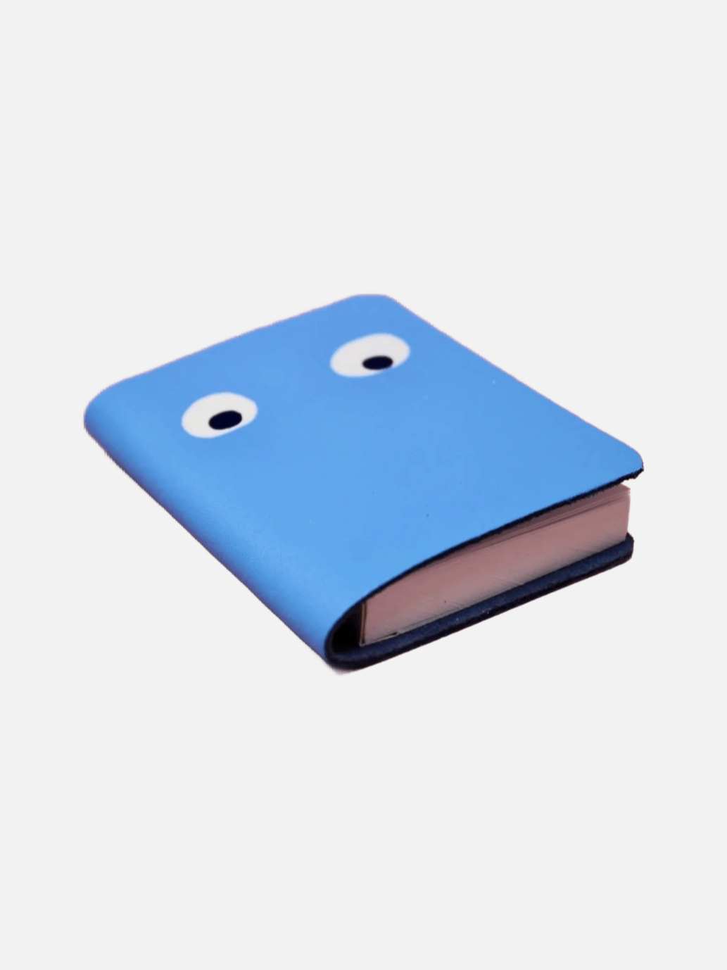 Googly Eye Mini Journal - Cornflower