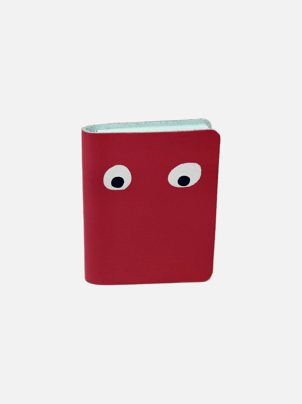 Googly Eye Mini Journal - New Pink