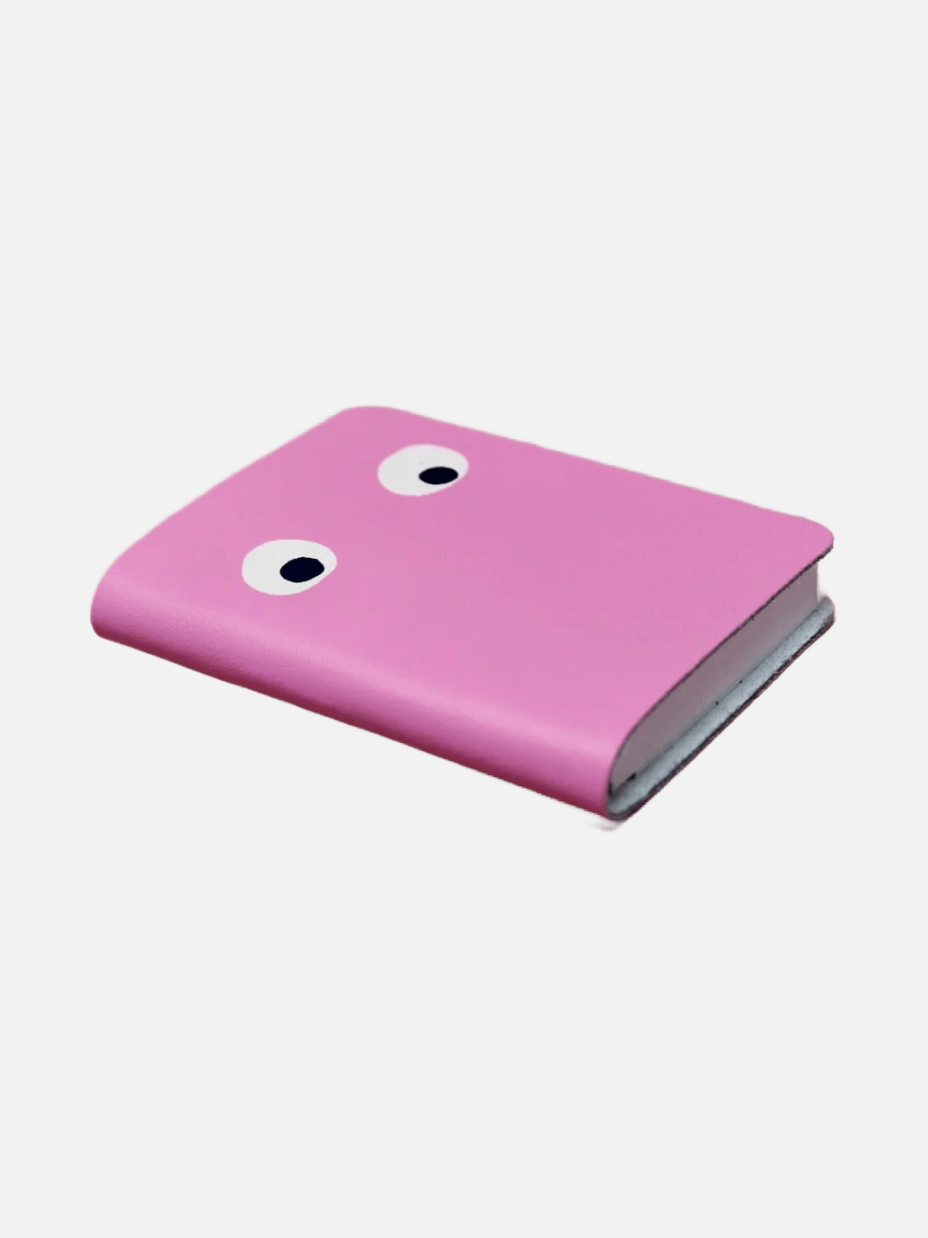 Googly Eye Mini Journal - Hot Pink