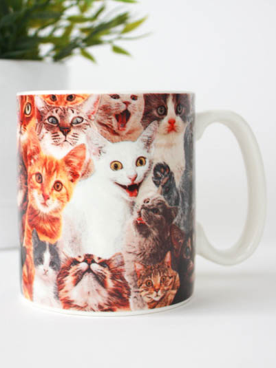 Crazy Cat Lady Mug
