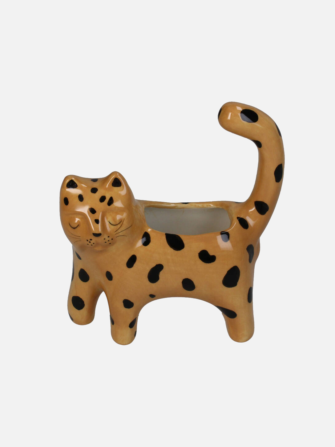 Leopard Planter