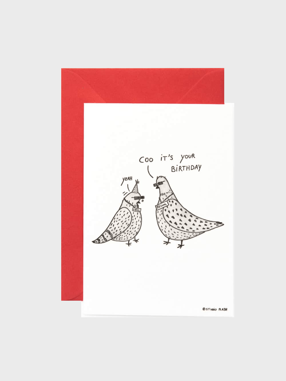 Cool Birthday Pigeons