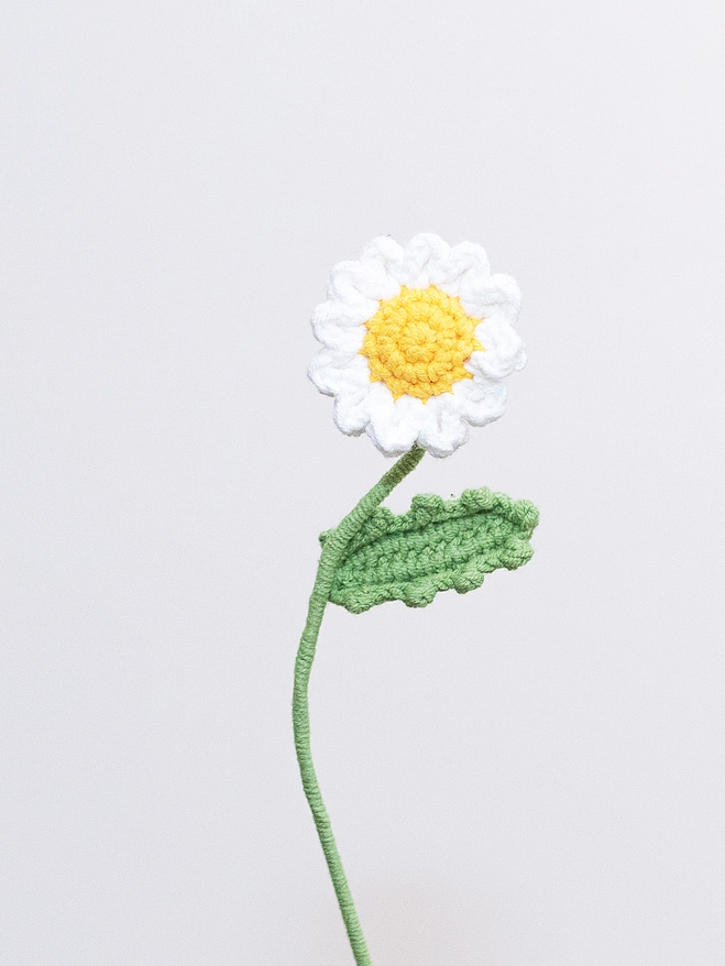 Handmade Crochet Flower - Daisy
