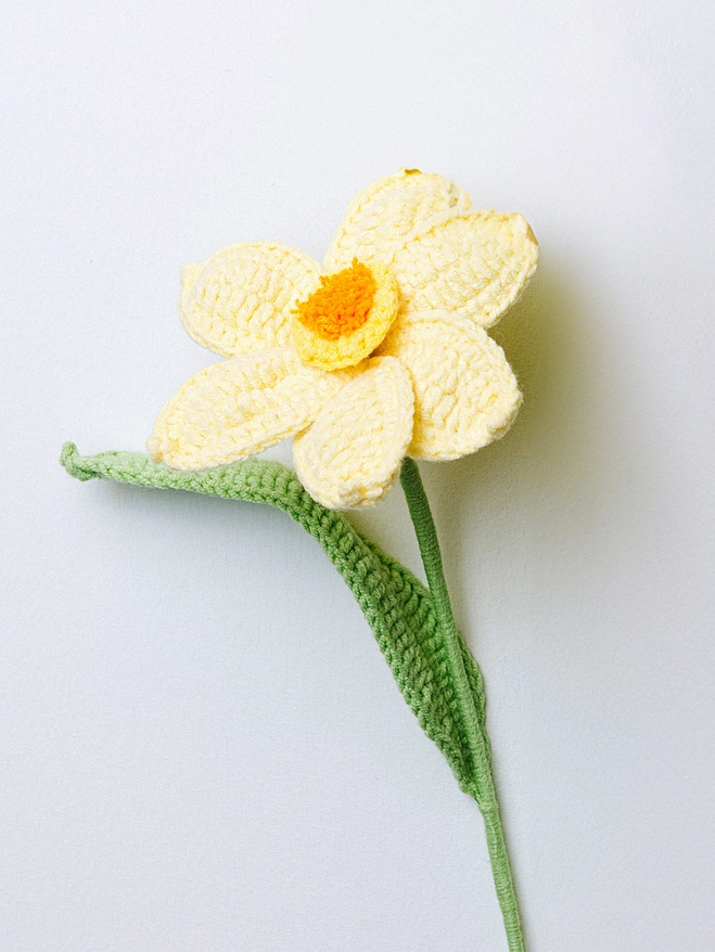 Handmade Crochet Flower - Daffodill