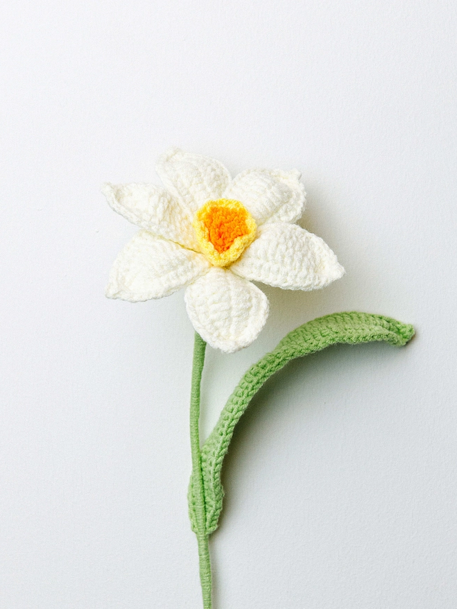 Handmade Crochet Flower - Daffodill