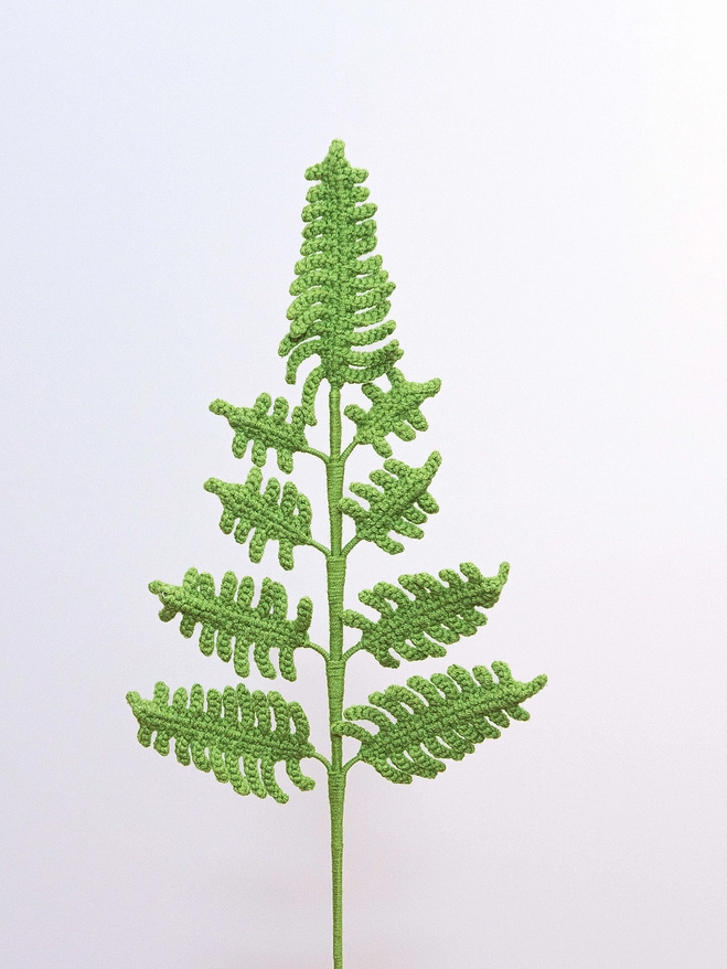 Handmade Crochet Flower - Fern
