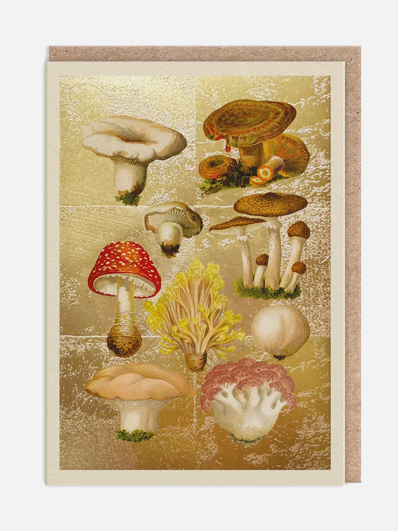 Fungi Collection Karte