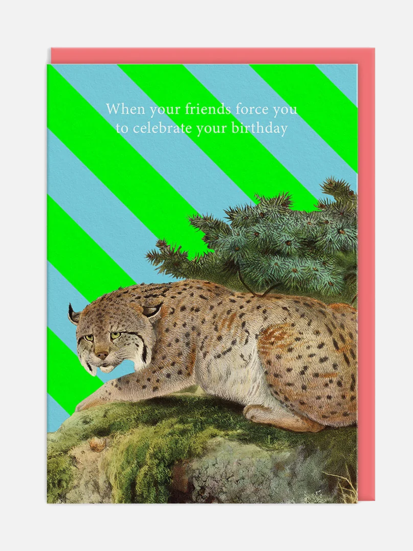 Grumpy Cat Greeting Card