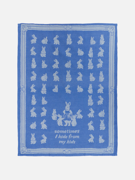 Hide From My Kids Dish Towel