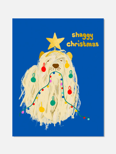 Shaggy Christmas Dog Karte
