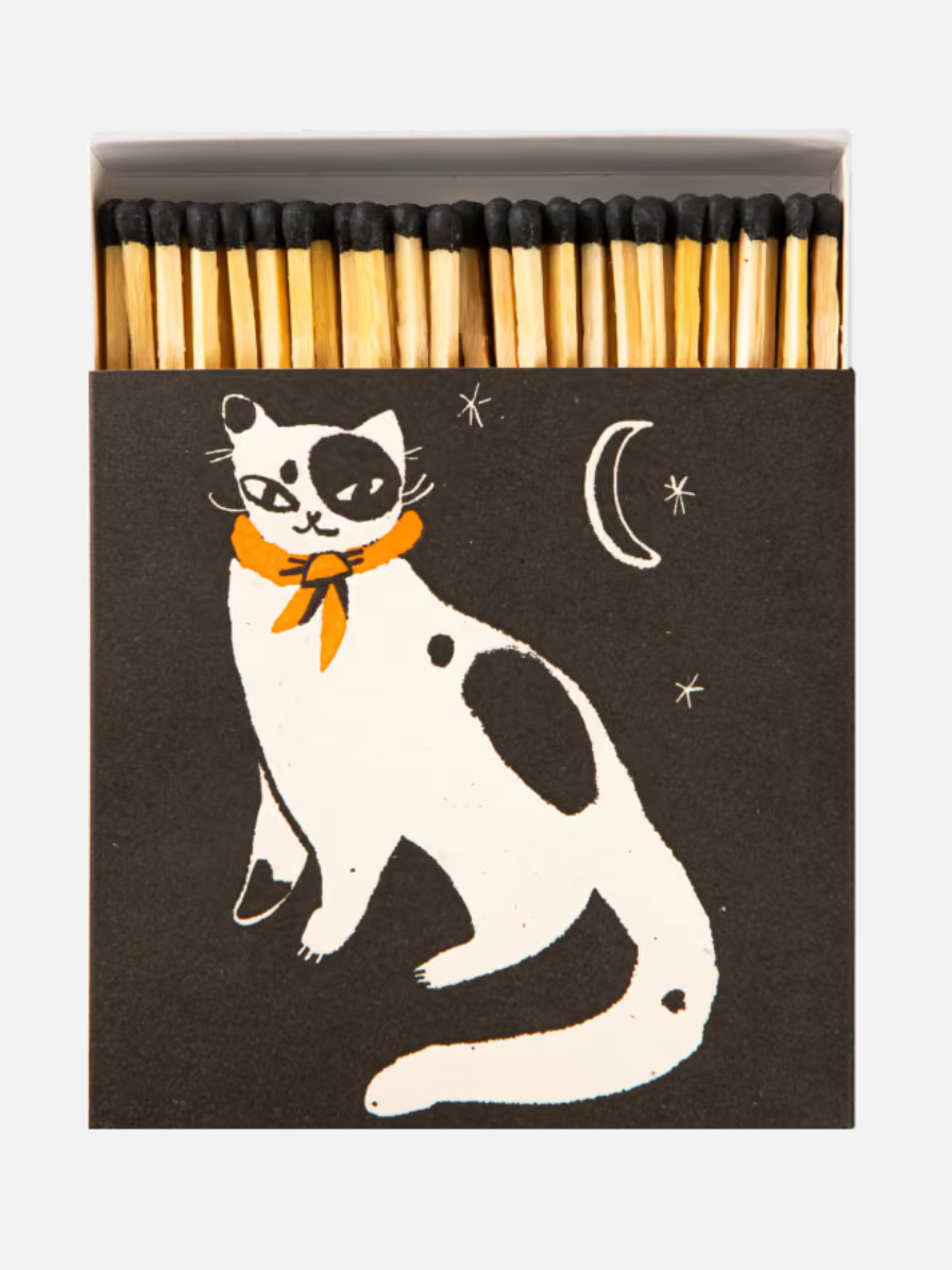 Black Spotted Kitten Cat Matches