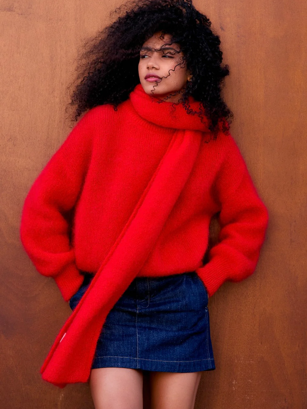 SURPRISE PARIS Jane Mohair Pullover - Red