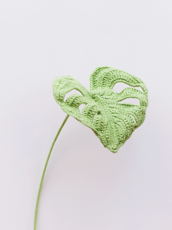 Handmade Crochet Flower - Monstera - Diverses