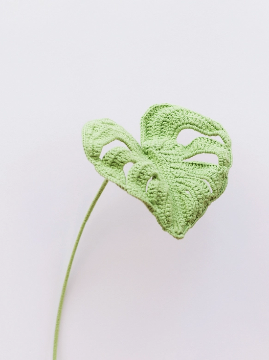 Handmade Crochet Flower - Monstera - Diverses