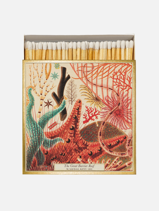 Great Barrier Reef Vintage Matches