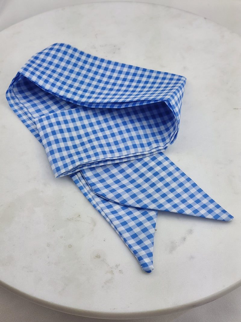 Thin Blue Scarf - Checked - Schal