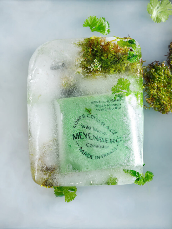 MEYENBERG Hand Wash - Wild Moss & Coriander