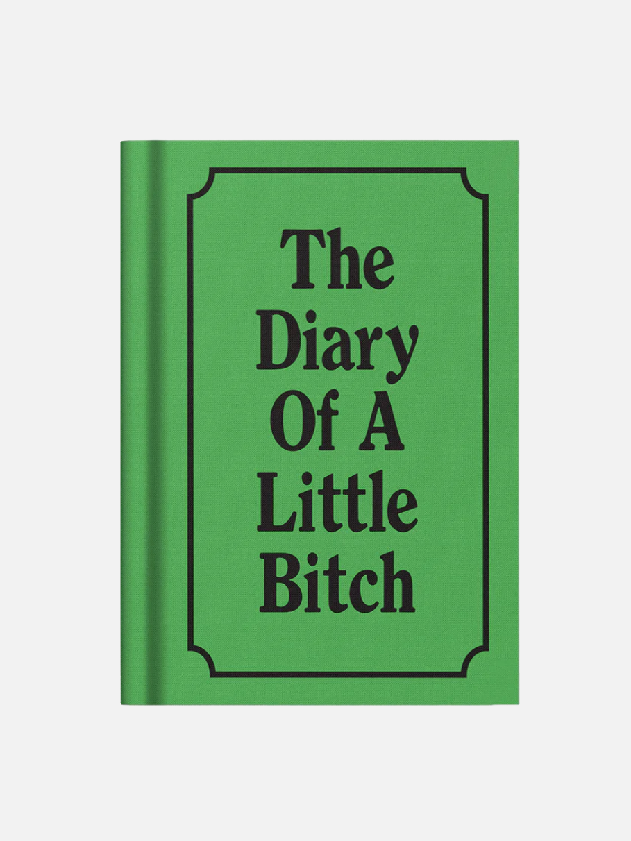 The Diary of a Little Bitch Notebook - Stationery