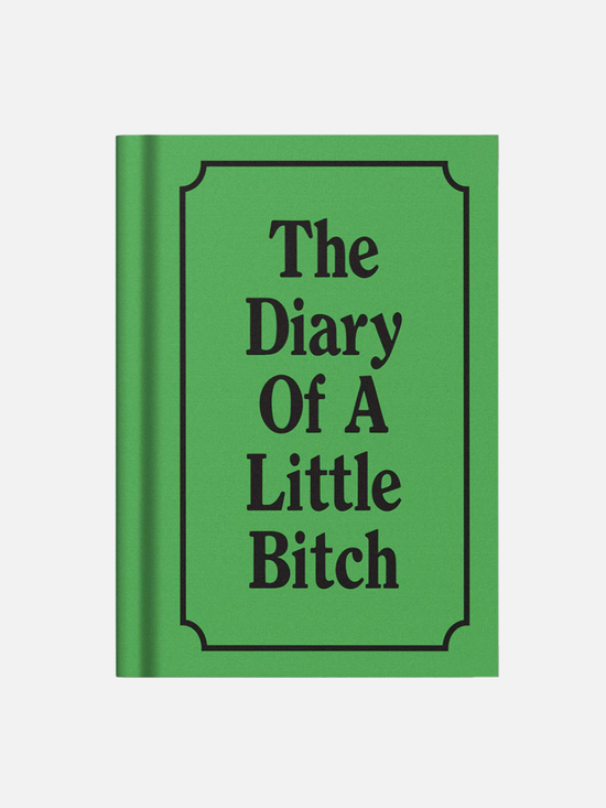 The Diary of a Little Bitch Notebook - Stationery