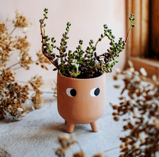 Little Leggy Terracotta Planter Mini